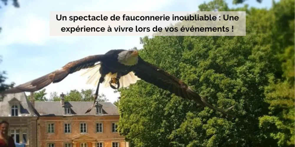 Un spectacle de fauconnerie inoubliable !