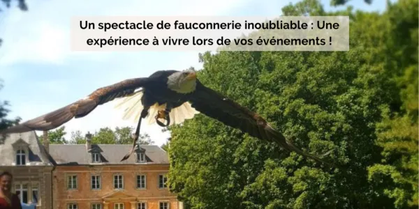 visuel Un spectacle de fauconnerie inoubliable ! 