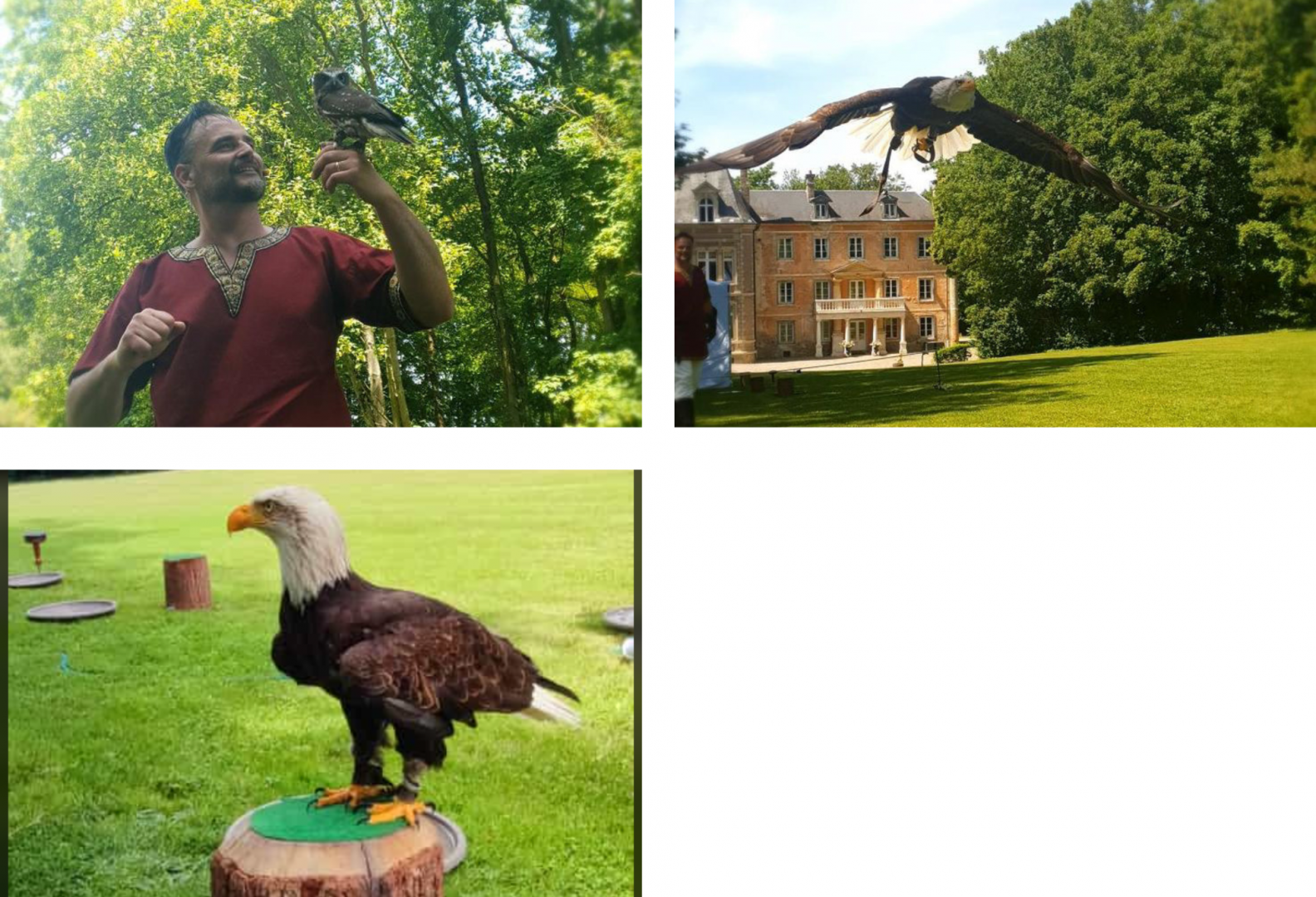 Spectacle de fauconnerie au Château de Flixecourt